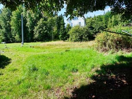 Wiese Wiese - Einfamilienhaus in 08648 Bad Brambach mit 60m² kaufen