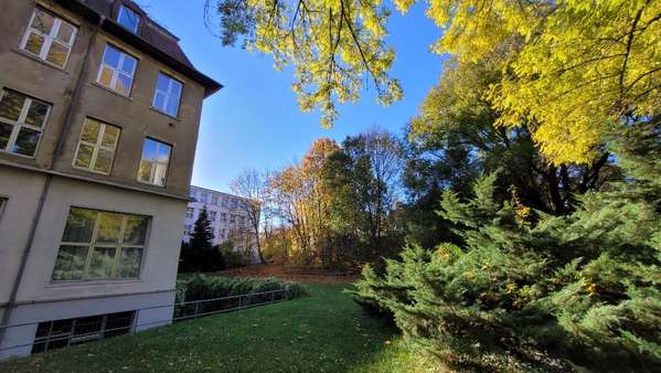 Garten - Service in 08523 Plauen mit 1212m² kaufen