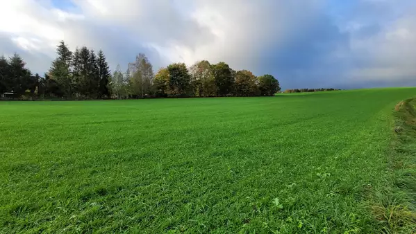 Beste Lage für Ihr Neubauprojekt! 40€/m²