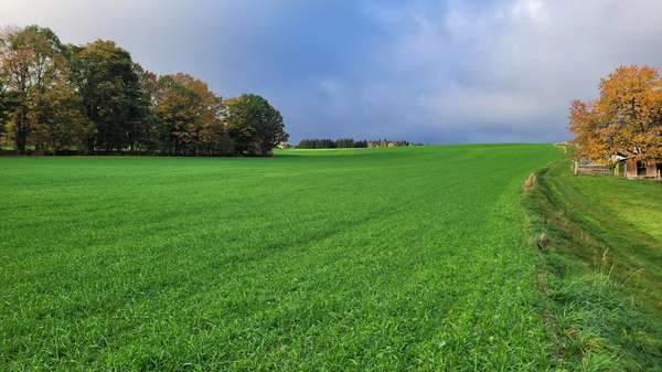 herrlicher Weitblick - Grundstück in 08606 Triebel mit 5394m² kaufen