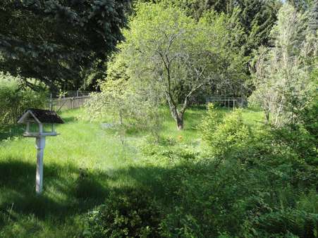 Blick in den Garten - Einfamilienhaus in 08527 Plauen mit 175m² kaufen