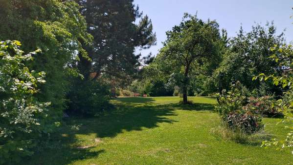 Villa in 04680 Colditz mit 150m² kaufen