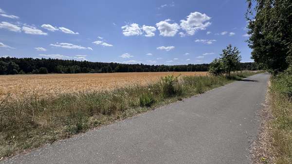 Weg, Grünland, Ackerland - Grundstück in 15518 Steinhöfel mit 99262m² kaufen