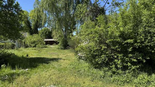 Blick zum Bungalow - Grundstück in 15848 Beeskow mit 5055m² kaufen