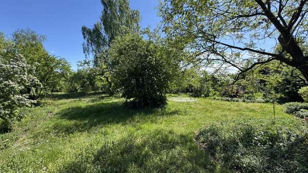 Grundstück 1 - Grundstück in 15848 Beeskow mit 5055m² kaufen
