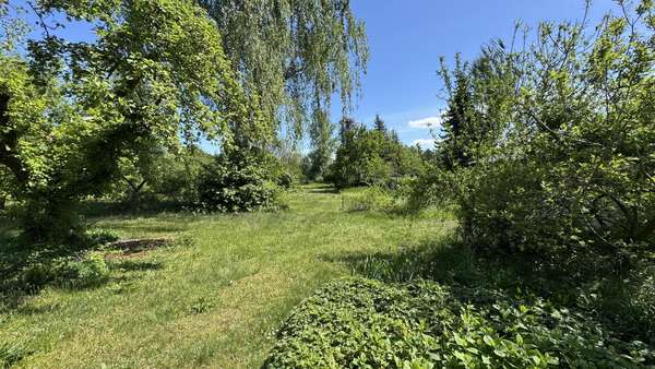 Grundstück 2 - Grundstück in 15848 Beeskow mit 5055m² kaufen