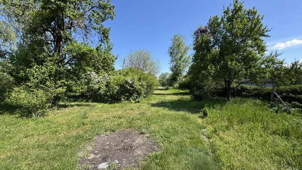 Grundstück 3 - Grundstück in 15848 Beeskow mit 5055m² kaufen