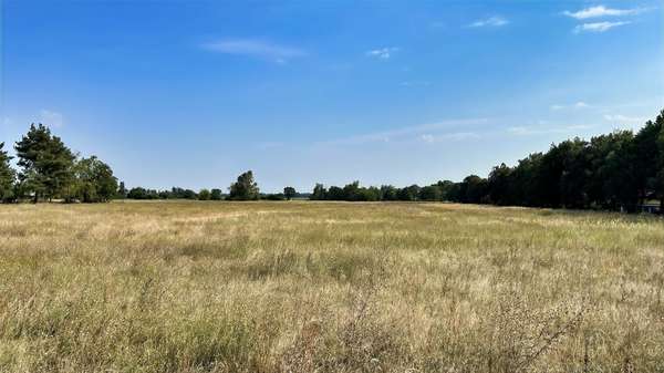 Straßenansicht - Grundstück in 16269 Wriezen mit 795m² kaufen