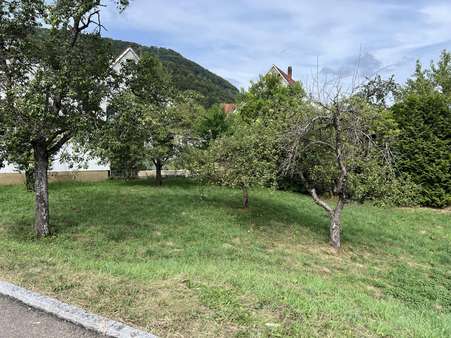 Grundstück - Reiheneckhaus in 72805 Lichtenstein mit 119m² kaufen