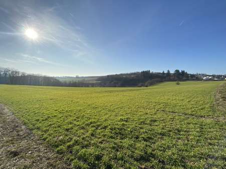 Bild-2 - Grundstück in 65321 Heidenrod mit 361m² kaufen