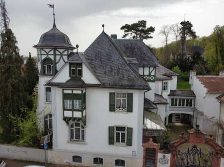 Ansicht - Villa in 55294 Bodenheim mit 570m² kaufen
