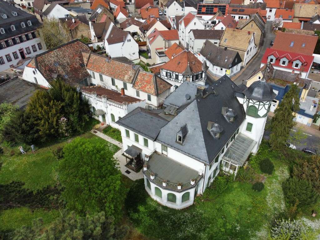 Ansicht - Villa in 55294 Bodenheim mit 570m² kaufen