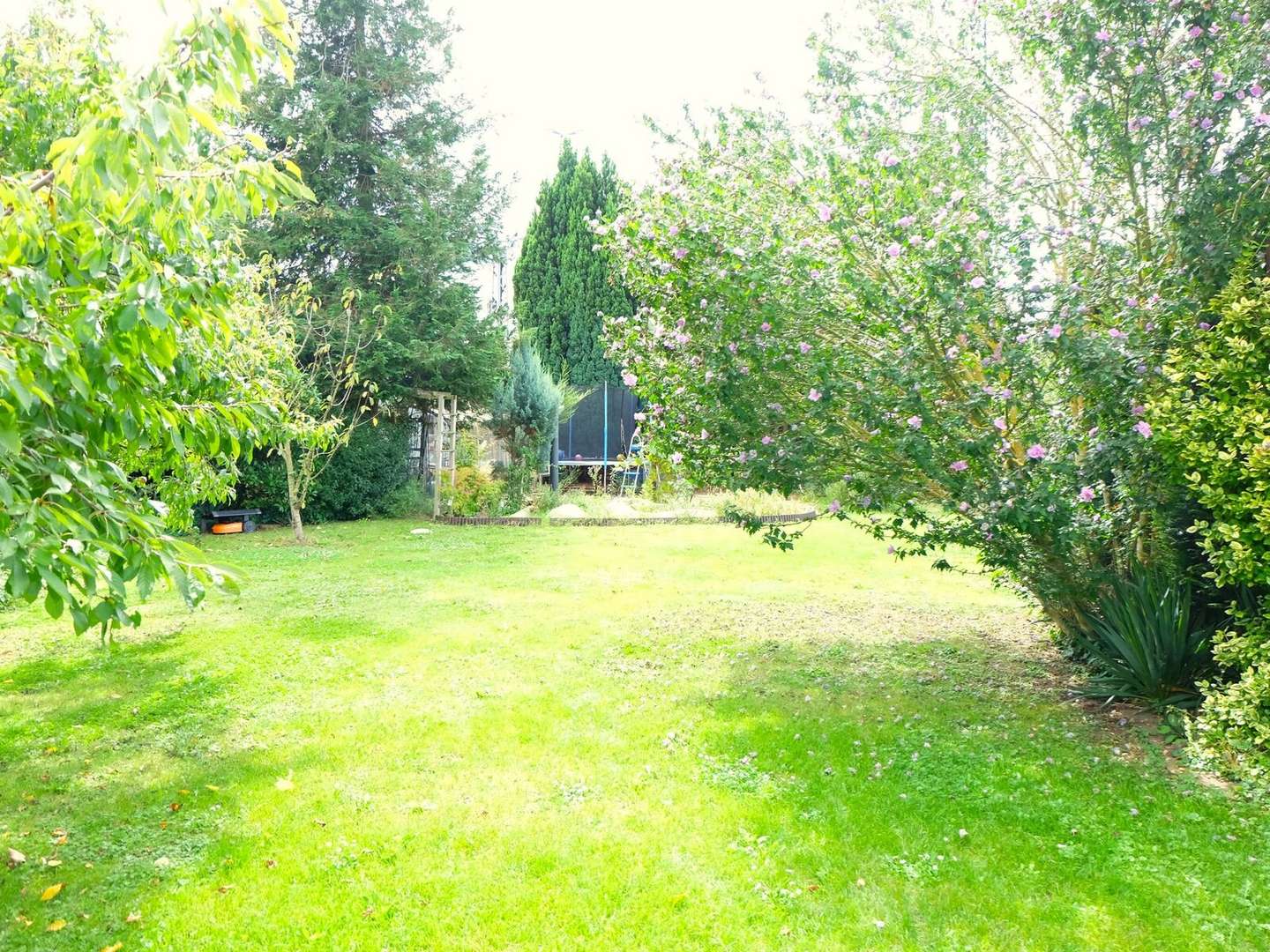 Garten - Einfamilienhaus in 60439 Frankfurt mit 125m² kaufen