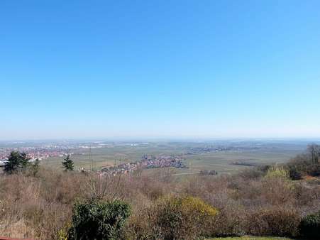 Blick vom Balkon EG - Villa in 67271 Battenberg mit 280m² kaufen