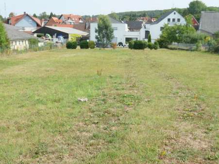 Grundstück Bild 2 - Grundstück in 61267 Neu-Anspach mit 1420m² günstig kaufen