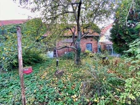 Gartenbereich - Einfamilienhaus in 99869 Schwabhausen mit 132m² kaufen