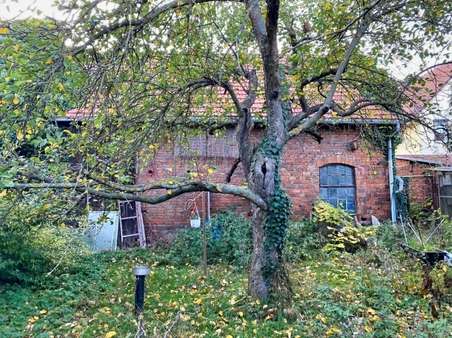 Scheune Ostseite - Einfamilienhaus in 99869 Schwabhausen mit 132m² kaufen