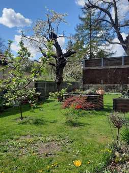 Gepflegter Naturgarten - Einfamilienhaus in 99192 Nesse-Apfelstädt mit 139m² kaufen