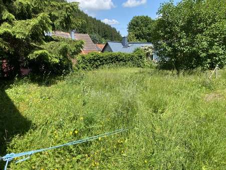 Grundstück Westseite - Doppelhaushälfte in 99885 Luisenthal mit 132m² kaufen