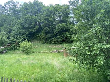 Garten - Grundstück in 99897 Tambach-Dietharz mit 520m² kaufen