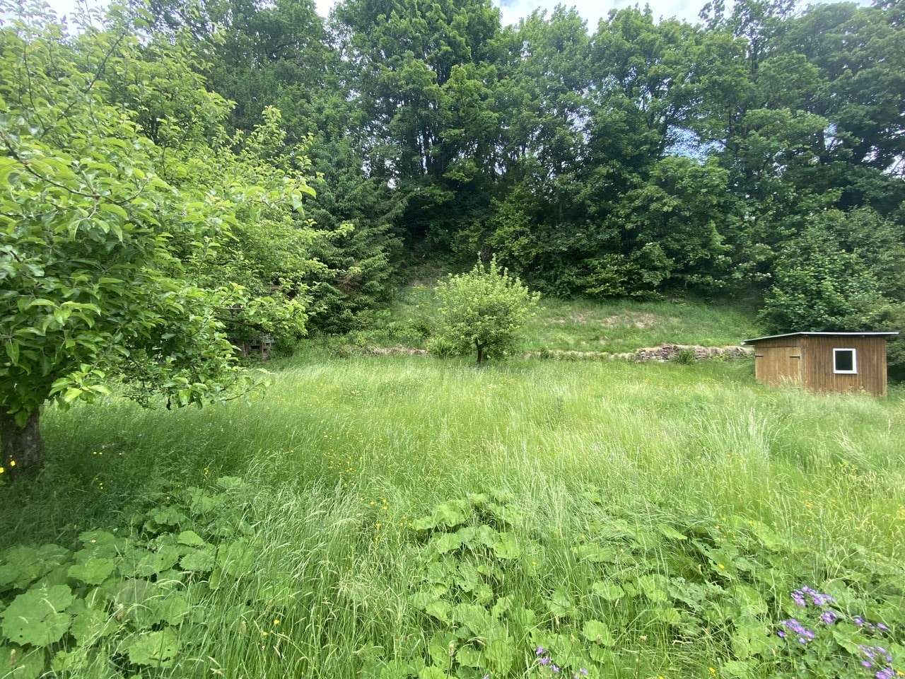 Grundstück - Grundstück in 99897 Tambach-Dietharz mit 520m² kaufen