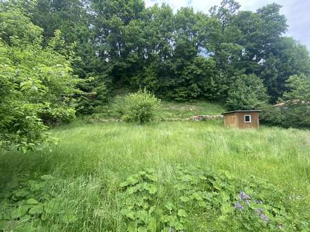 Grundstück mit Schuppen - Grundstück in 99897 Tambach-Dietharz mit 520m² kaufen