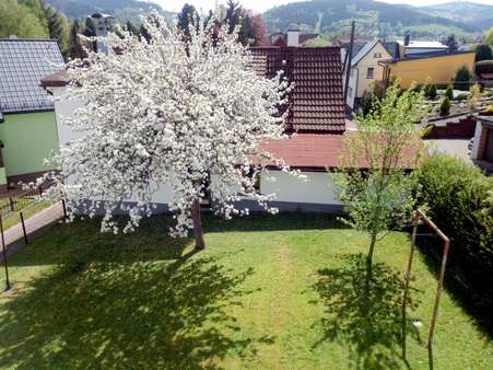 Gepflegter Garten - Einfamilienhaus in 99891 Bad Tabarz mit 120m² kaufen