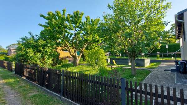 Garten mit Baumbestand Garten mit Baumbestand - Haus in 99867 Gotha mit 40m² kaufen