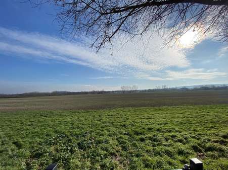 Ausblick vom Garten auf Felder Ausblick vom Garten auf Felder - Erdgeschosswohnung in 99869 Drei Gleichen mit 114m² mieten