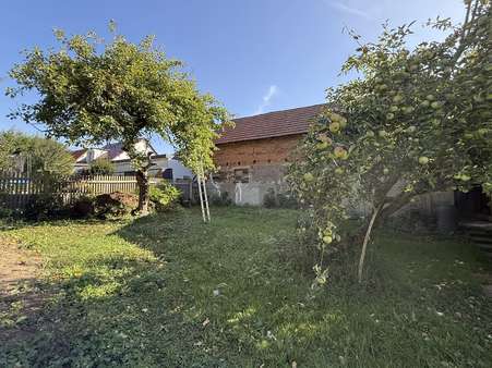 Garten Garten - Einfamilienhaus in 99869 Eschenbergen mit 126m² kaufen