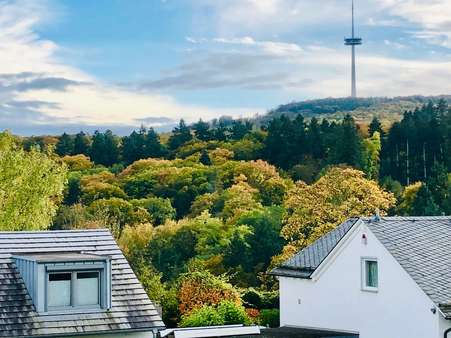Aussicht Stadtwald  - Einfamilienhaus in 56075 Koblenz mit 227m² kaufen