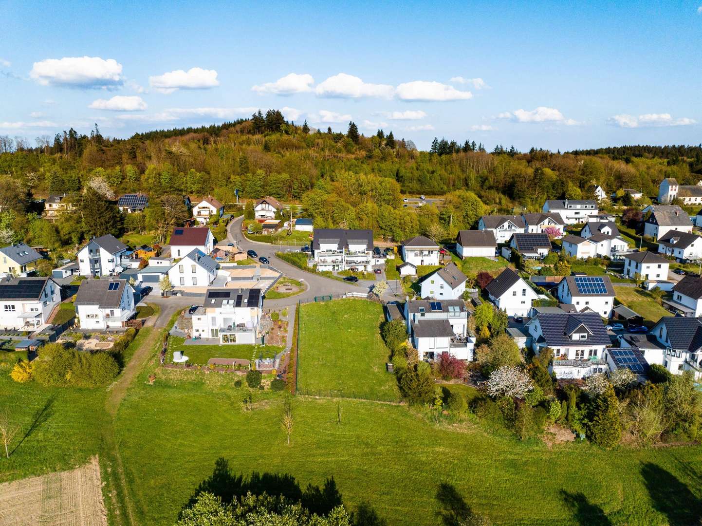Blick auf Grundstück - Grundstück in 56283 Nörtershausen mit 793m² kaufen
