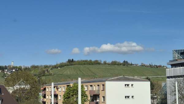 Blick auf die Weinberge Blick auf die Weinberge - Etagenwohnung in 97084 Würzburg mit 105m² kaufen