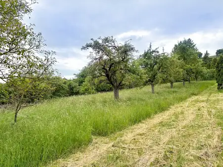 Grundstück mit gemischter Nutzungsmöglichkeit