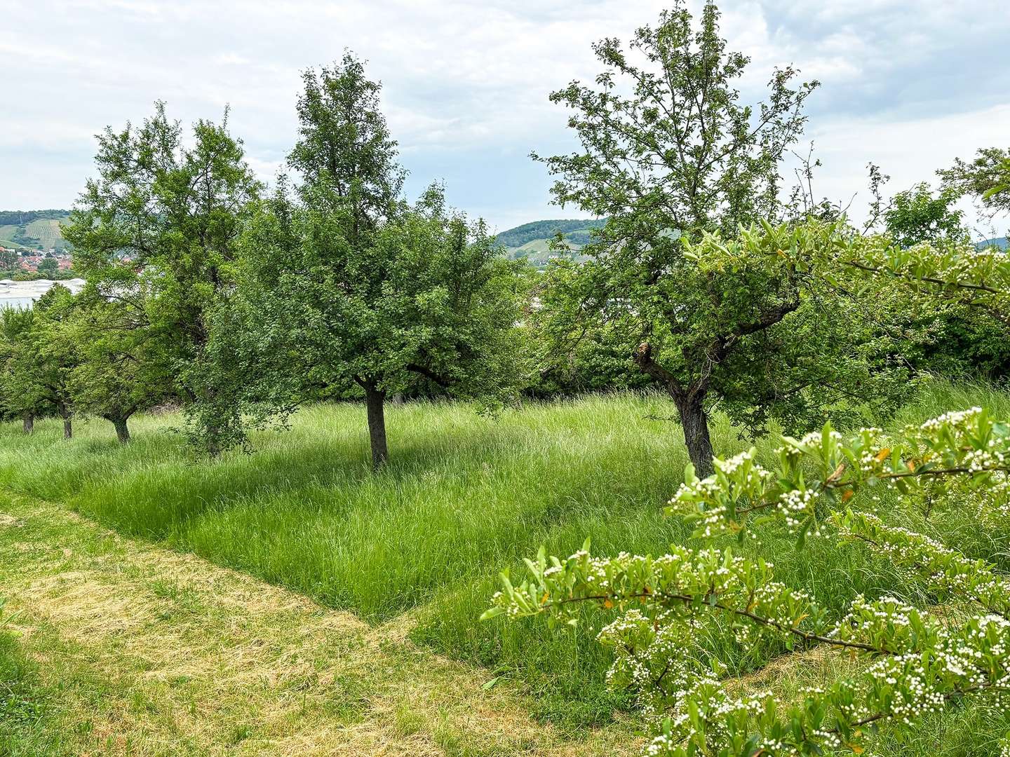Grundstück Grundstück - Grundstück in 97084 Würzburg mit 1702m² kaufen