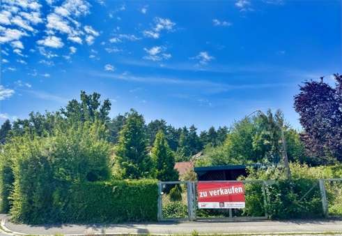 Ansicht Grundstück Ansicht Grundstück - Grundstück in 91207 Lauf mit 795m² kaufen