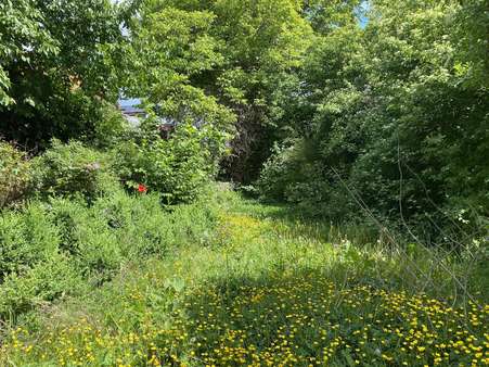 Gartenansicht - Einfamilienhaus in 97204 Höchberg mit 87m² kaufen