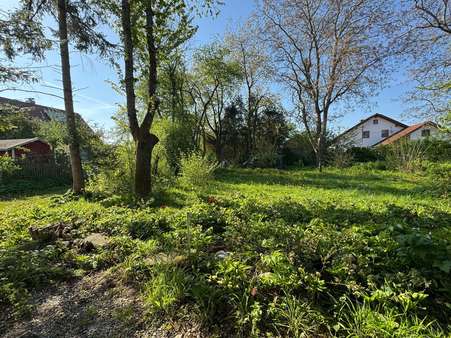 naturnaher Garten - Einfamilienhaus in 86899 Landsberg mit 134m² kaufen