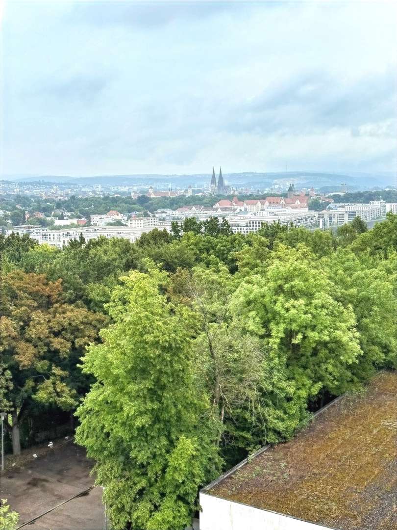 Blick über Regensburg - Etagenwohnung in 93051 Regensburg mit 85m² kaufen