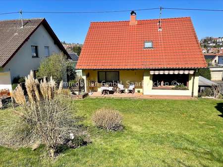 Außenansicht Rückseite - Einfamilienhaus in 66564 Ottweiler mit 171m² kaufen
