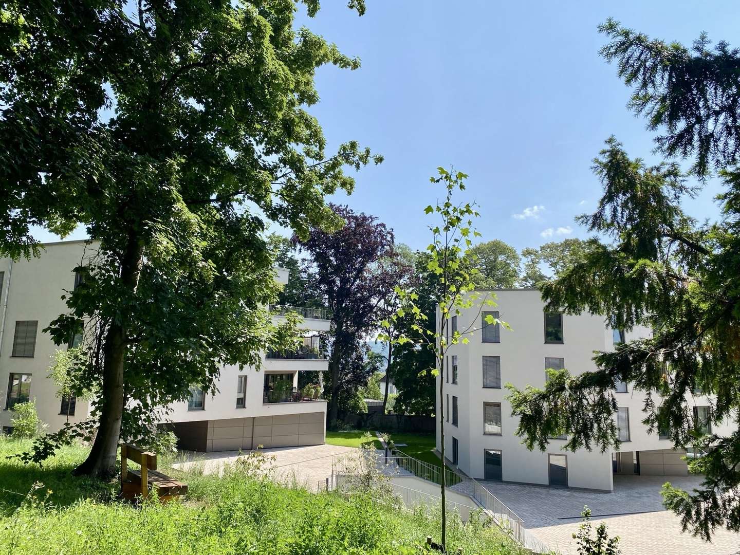 IMG_0036 IMG_0036 - Wohnung in 66119 Saarbrücken mit 228m² kaufen