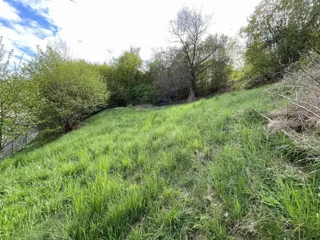 Grundstück in Reichenbach 