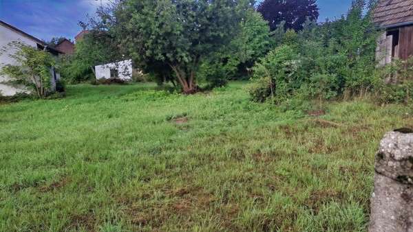 ... ... - Grundstück in 92421 Schwandorf mit 3559m² kaufen