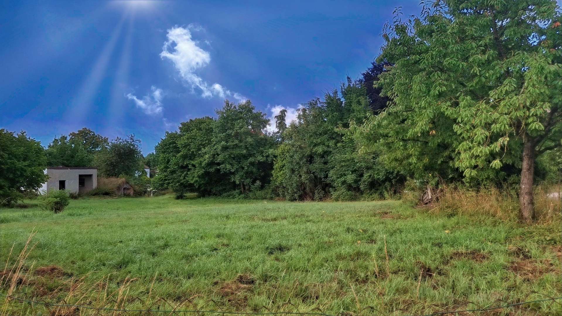 Bestand Bestand - Grundstück in 92421 Schwandorf mit 3559m² kaufen