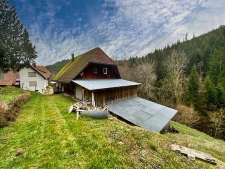 Rückseite - Bauernhaus in 77776 Bad Rippoldsau-Schapbach mit 300m² kaufen