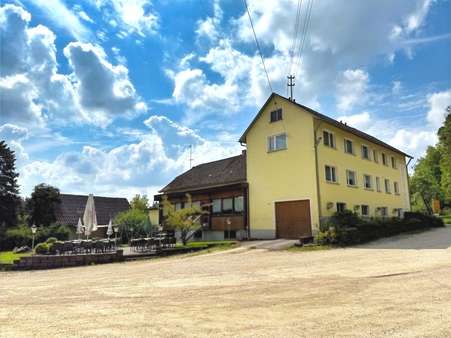 Ansicht Terrasse + Parkfläche - Mehrfamilienhaus in 78576 Emmingen-Liptingen mit 200m² kaufen