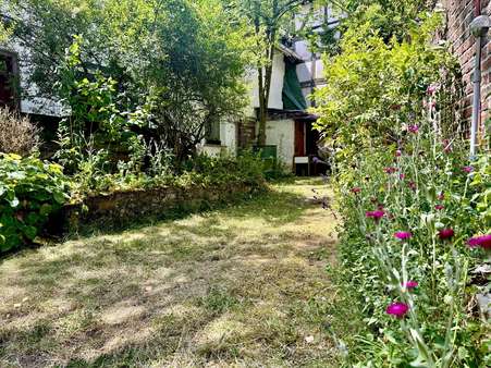 Garten Garten - Einfamilienhaus in 61250 Usingen mit 116m² kaufen