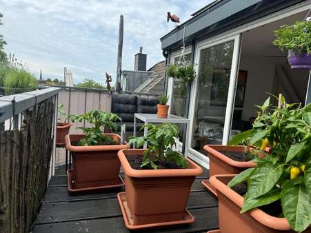 Terrasse2 - Maisonette-Wohnung in 44143 Dortmund mit 110m² kaufen