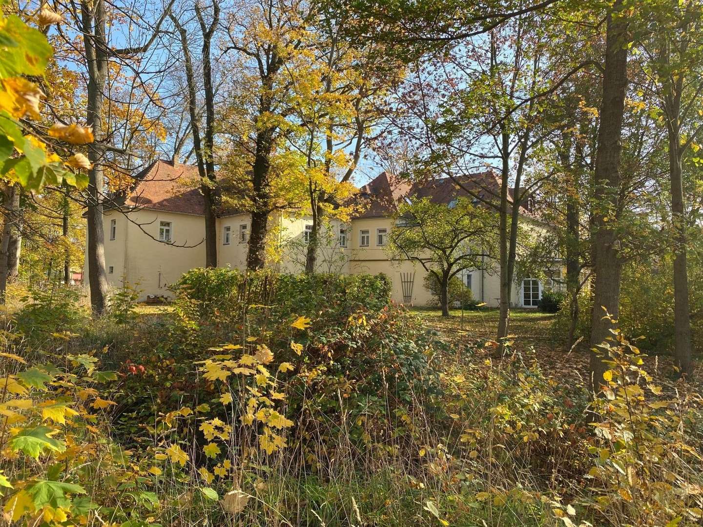null - Schloss in 01920 Nebelschütz mit 680m² kaufen