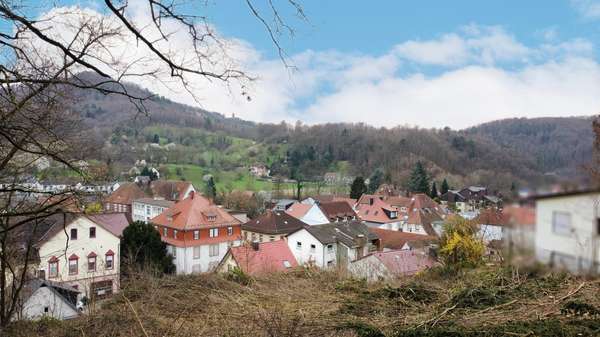 Ausblick von links - Grundstück in 69488 Birkenau mit 2185m² kaufen